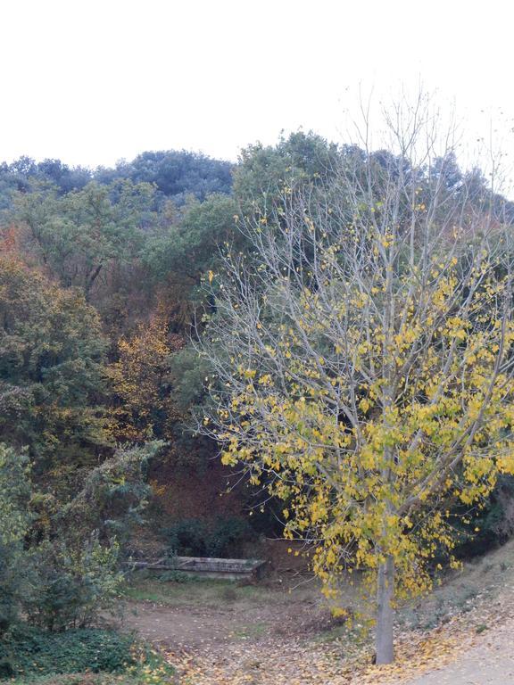 Casa Canut Tartareu Εξωτερικό φωτογραφία